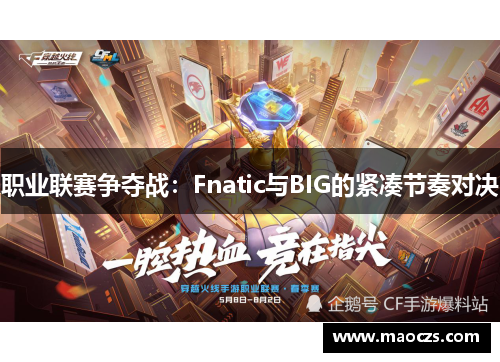 职业联赛争夺战：Fnatic与BIG的紧凑节奏对决